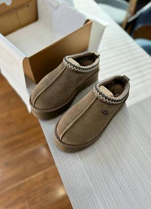 Ugg tazz - уггі в наявності