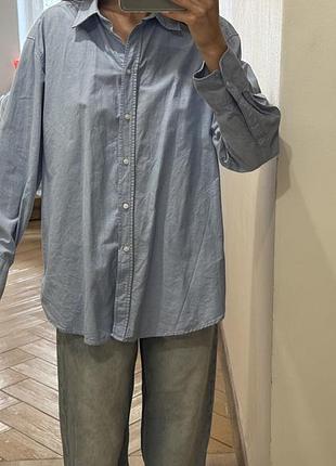 Жіноча сорочка h&m блакитна