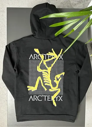 Худі arcteryx multibird 2