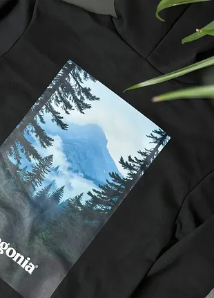 Худи patagonia forest 2