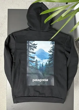 Худи patagonia forest 5