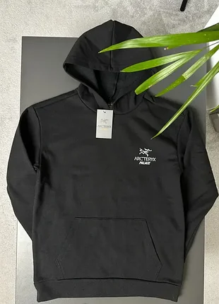 Худі arcteryx x palace 5