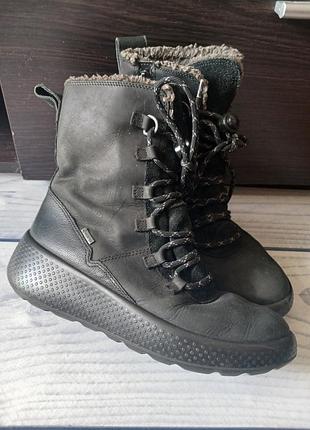 Черевики ecco