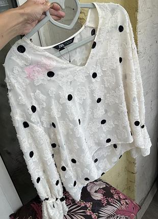 Блуза zara в горох