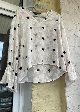 Блуза zara в горох 2