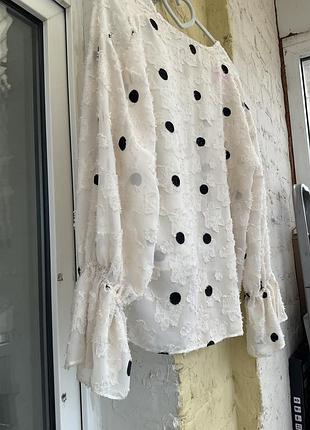 Блуза zara в горох 5