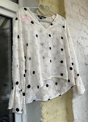 Блуза zara в горох 9