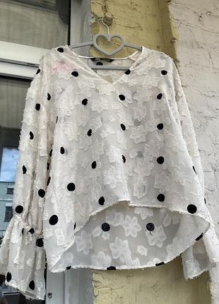Блуза zara в горох 7