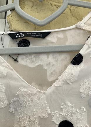 Блуза zara в горох 3