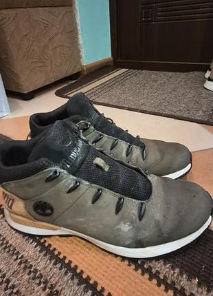 Черевики timberland sprint trekker mid