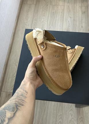 Тапки   ugg
