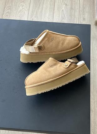 Тапки   ugg 3