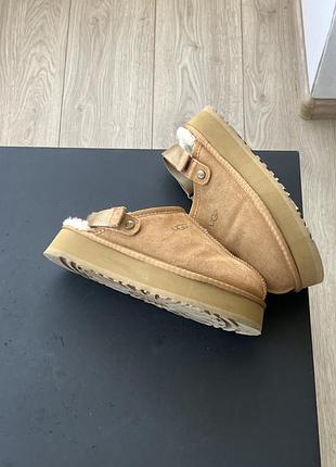 Тапки   ugg 4