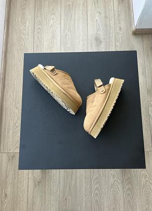 Тапки   ugg 2