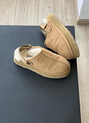 Тапки   ugg 5