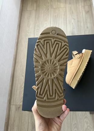 Тапки   ugg 7