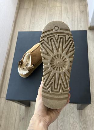 Тапки   ugg 8