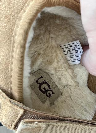 Тапки   ugg 9