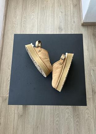 Тапки   ugg 6