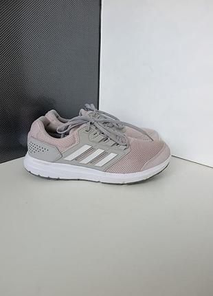 Чоловічі красовки адідас/ жіночі кросівки adidas