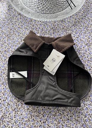 Попона для собачки h&m