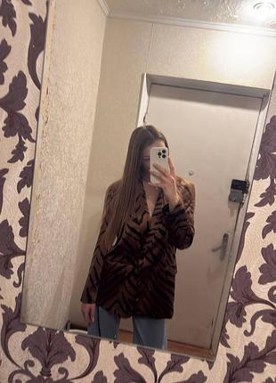 Zara новий