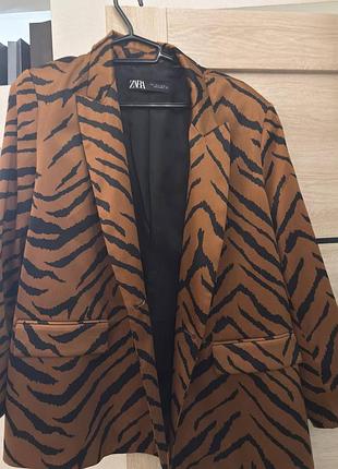 Zara новий 2