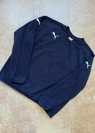 Чоловічий світшот puma teamgoal casuals