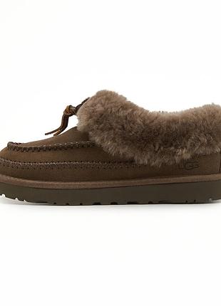 Ugg tasman alpine brown 37
