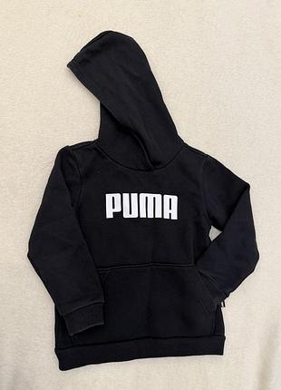 Пайта puma