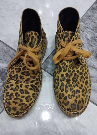 Замшеві дезерти черевики bronx леопардові 39 розмір чукка (chukka / desert boots)