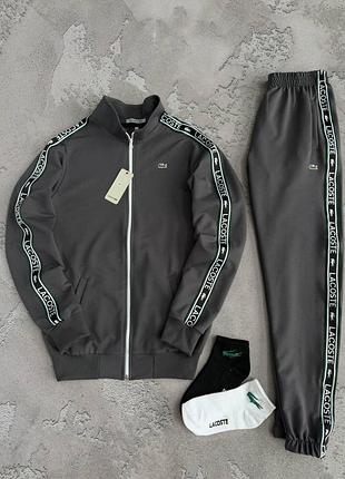 Чоловічий спортивний костюм lacoste з лампасами сірий лакост кофта на блискавці + штани весняний осінній l (b)