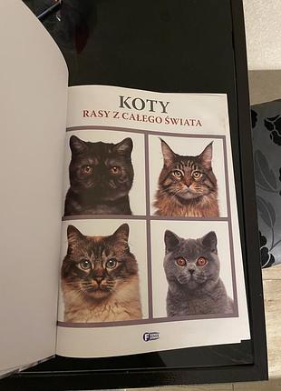 Koty rasy z całego swiata 2