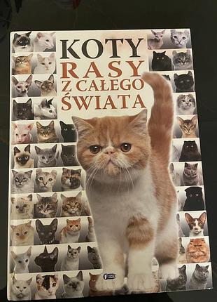 Koty rasy z całego swiata