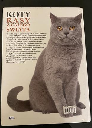 Koty rasy z całego swiata 3