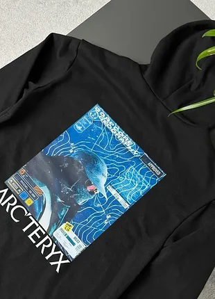 Худі arcteryx gorpcore 3