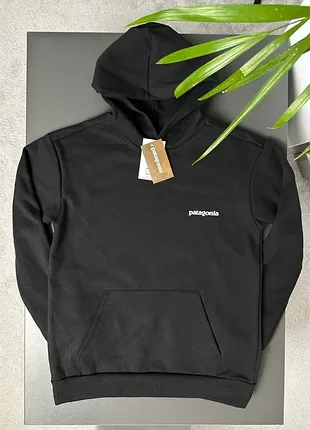 Худи patagonia horizon