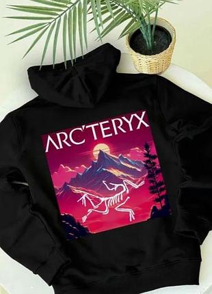 Худі arc'teryx / arc'teryx x palace (gorpcore style) 3