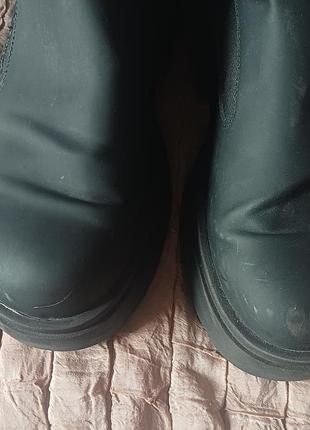 Челсі zara 5