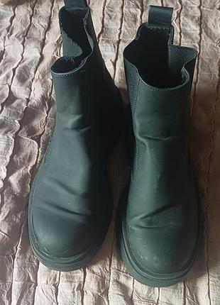Челсі zara 2