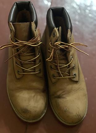 Жіночі черевики timberland 🥾