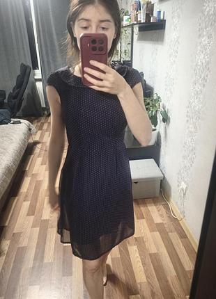 Сукня в горошок 5