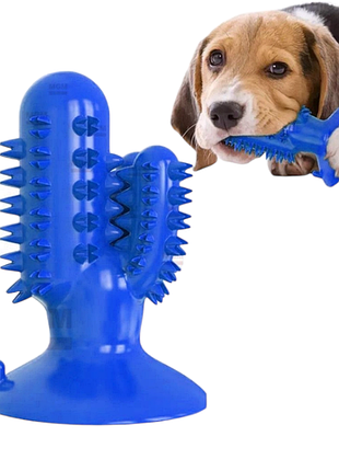 Игрушка для собак bronzedog petfun dental кактус на присоске синяя