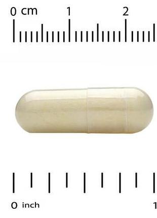 Cgn advanced liver support 90 капсул 3