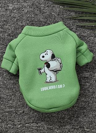 Худи на флисе для собаки dog 11228 xs зеленое