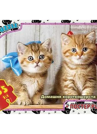 Пазлы детские "домашние любимцы" an144, 35 элементов