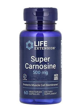 Super carnosine 500 mg - 60 vcaps 5093772