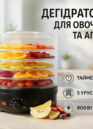 Професійний дегідратор для фруктів rainberg, сушарка-дегідратор для харчових продуктів dv-24