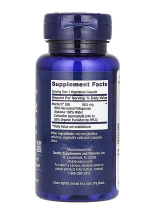 Optimized fucoidan with maritech® 926 - 60 vcaps 5093738 2