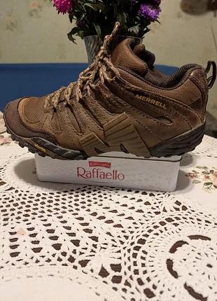 Кросівки merrell pivot lace